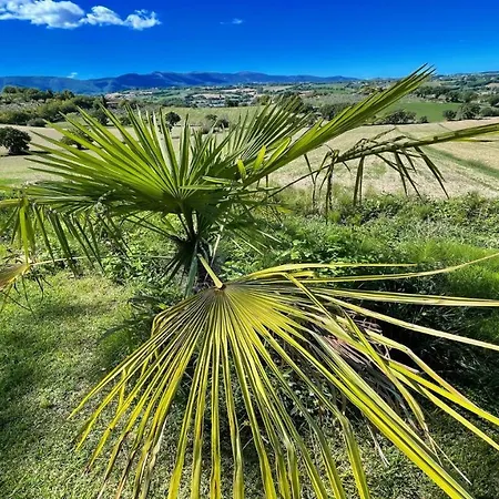 2 Bedrooms1 Bathroom1 Fully Fitted Kitchenpooljacuzziwifiair Con Colle Umberto (Umbria)